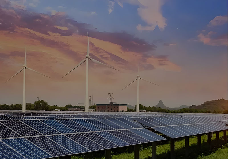Renewable Energy Sector
